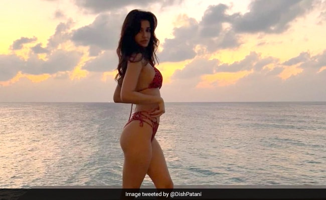 Disha Patani, why so stunning?  See pic from her beach vacation