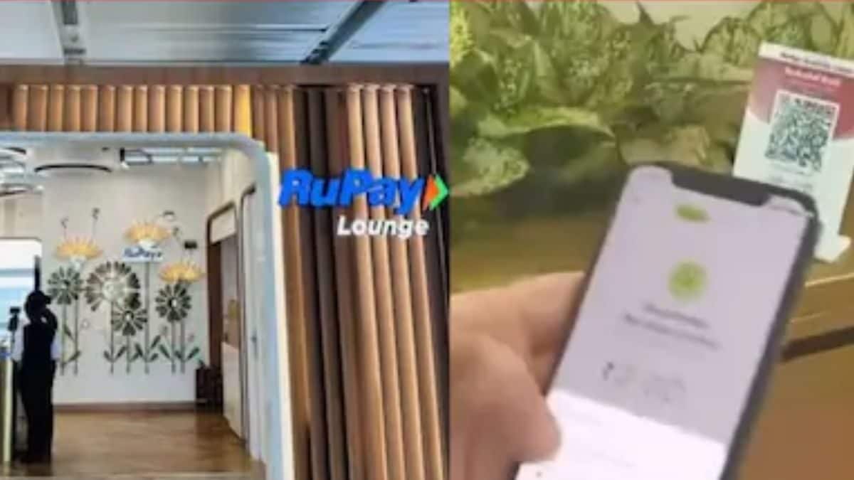 Gaming, Meals And Runway Views: Access RuPay Lounge At Delhi Airport For Rs 2