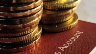 Top 10 Government Schemes: Small Savings Schemes Interest Rates October 2024, Explore All Benefits Now