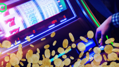5 High-Winning Slots For Beginners