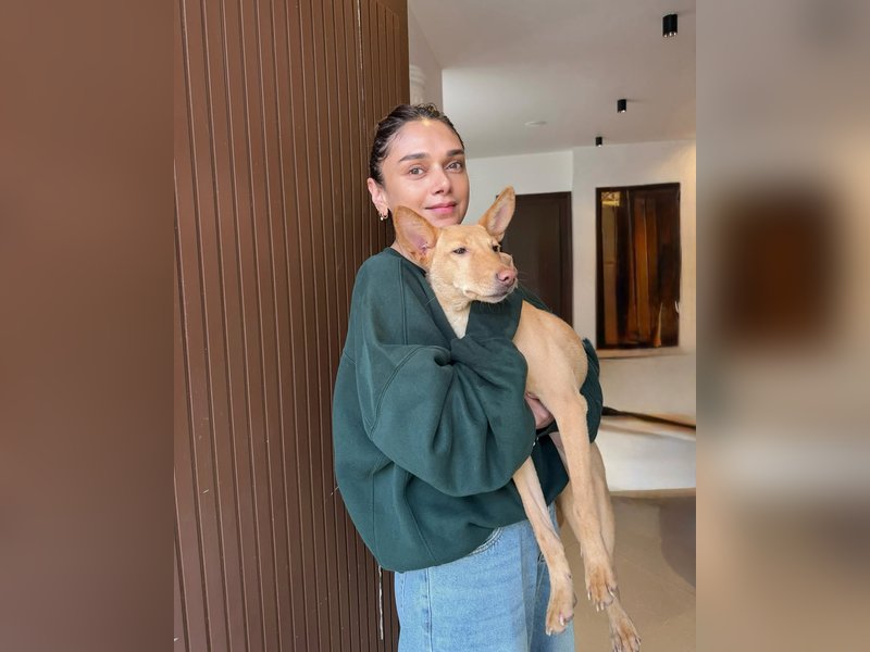 Aditi Rao Hydari’s Cozy Sundays: A Heartwarming Snuggle Session with Her Furry Friends!