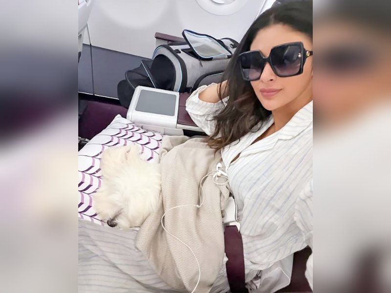 Mouni Roy’s Adorable Pet Pup Joins Her in Business Class for a Pawsome Journey!