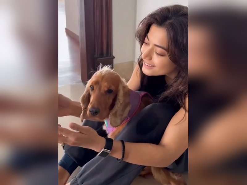 Rashmika Mandanna Admits: ‘Rahein Na Rahein Hum’ Stole My Heart!