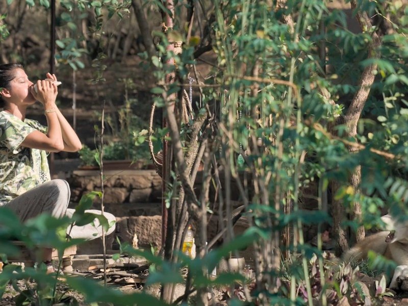 John Abraham’s ‘Oslo: A Tail of Promise’ Teaser Invites Us to Experience Life Through New Eyes John Abraham’s ‘Oslo: A Tail of Promise’ Teaser Invites Us to Experience Life Through New Eyes