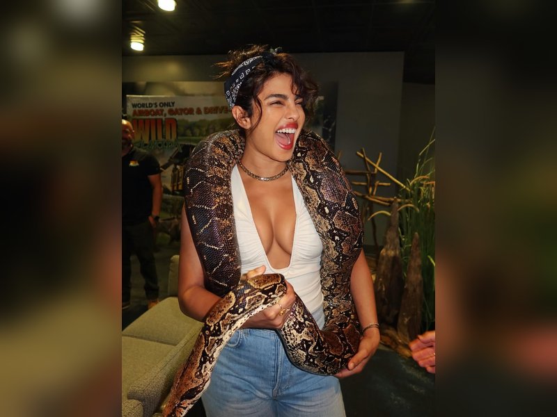 Priyanka Chopra Reveals Hollywood Journey: Embracing Trials, Errors, and Self-Forgiveness