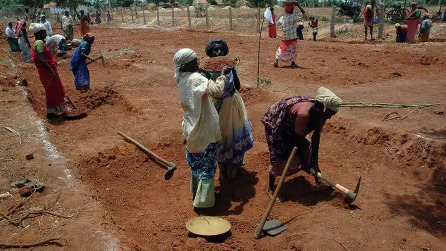 8% of Families Got 100 Days of NREGA Work in Last Three Financial Years, Government Reports Show 8% of Families Got 100 Days of NREGA Work in Last Three Financial Years, Government Reports Show