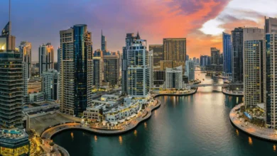 A Simple Guide to Dubai’s Free Zones for Expats Starting a Business