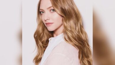 Amanda Seyfried shares her vision for motherhood in ‘Mamma Mia 3’ at LA premiere event.