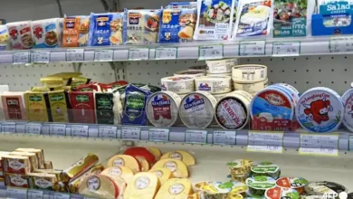 Beijing Sets 42.7% Provisional Duty on EU Dairy to Protect Local Industry