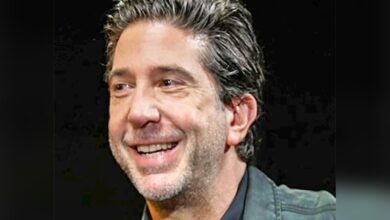 David Schwimmer Spotted on a Rare Outing with Eliana Jolkovsky in NYC Following His Divorce