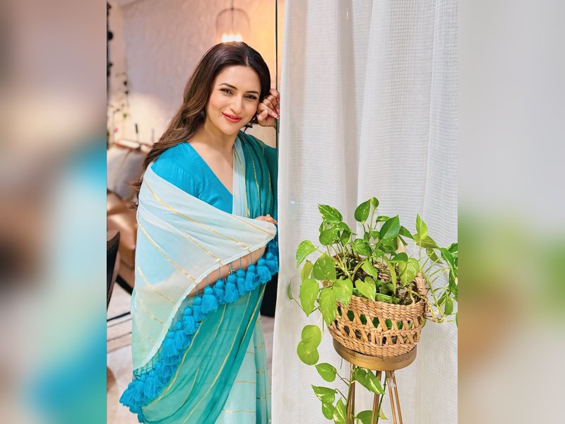Divyanka Tripathi Seeks Voice-Over Opportunities on Social Media, Follows Neena Gupta!