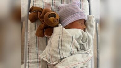 Enrique Iglesias and Anna Kournikova welcome their fourth child, sharing joy on Instagram!