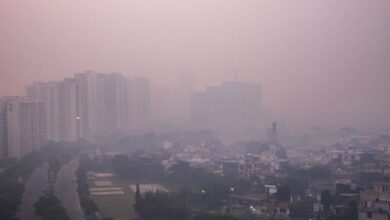 Haryana Teams Up with World Bank to Tackle Pollution Challenges