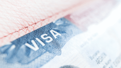 Indian Government Updates E-Visa Process to Boost Local Companies with Foreign Professionals