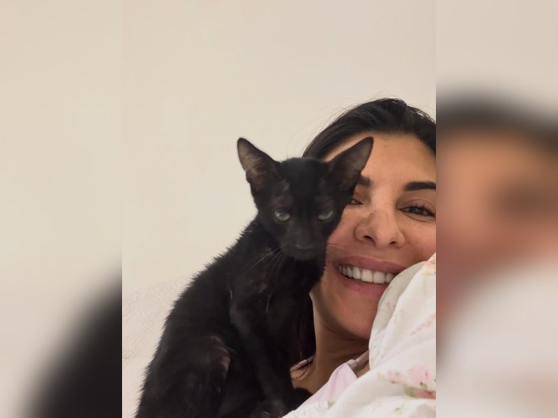 Jacqueline Fernandez Rescues Abandoned Kittens, Shares Heartwarming Moments on Instagram