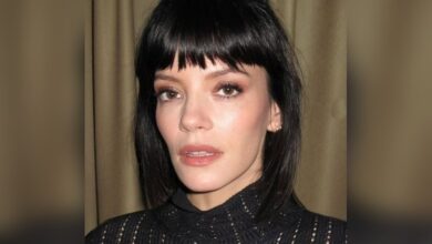 Lily Allen’s Daughters Stay in Touch with David Harbour, She Remains Distant from Their Bond
