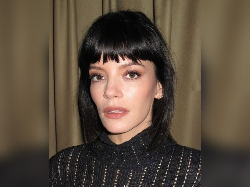 Lily Allen’s Daughters Stay in Touch with David Harbour, She Remains Distant from Their Bond