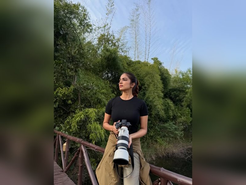 Malavika Mohanan Shares Stunning Tiger Moments at Tadoba National Park: “Chasing Tigers” Adventure! Malavika Mohanan Shares Stunning Tiger Moments at Tadoba National Park: “Chasing Tigers” Adventure!