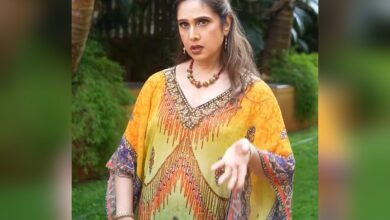 Meenakshi Seshadri Remixes “Lover Boy” Track as a Special Holiday Gift for Fans After 40 Years