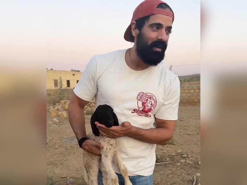 Mohit Malik Saves Stranded Baby Sheep on Highway, Raveena Tandon Eager to React!