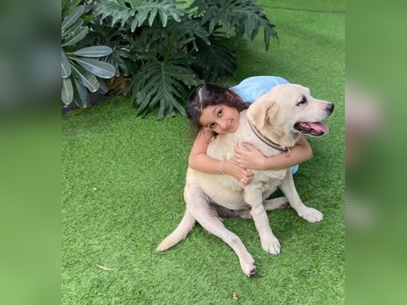 Namrata Shirodkar mourns her cherished dog Nobu, sharing heartfelt memories and a tearful goodbye. Namrata Shirodkar mourns her cherished dog Nobu, sharing heartfelt memories and a tearful goodbye.