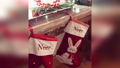 Parineeti Chopra and Raghav Chadha Celebrate First Christmas with Baby Neer and Festive Decor Joy!