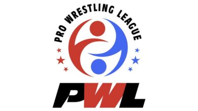 Pro Wrestling League player auctions set for Jan 3; six franchises announced by organisers