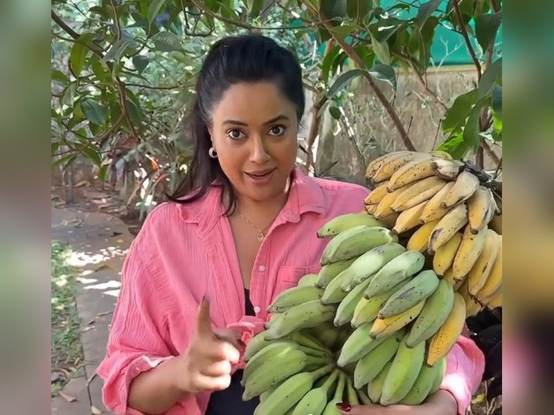 Sameera Reddy Reveals How Long Bananas Take to Ripen Naturally—A Week for Perfect Taste and Safety Sameera Reddy Reveals How Long Bananas Take to Ripen Naturally—A Week for Perfect Taste and Safety
