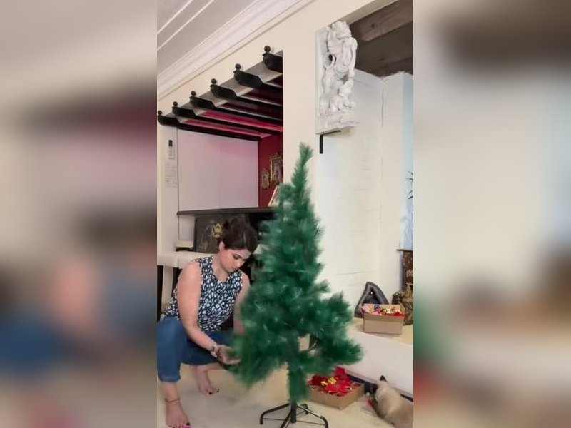 Shamita Shetty Begins Festive Christmas Decor with Pet Cats Lending a Helping Paw at Home