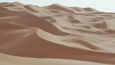 Why Saudi Arabia and UAE Buy Sand from Australia Despite Their Own Deserts