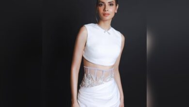 Actress Diana Penty discusses the need for professional detachment in acting during ‘Do You Wanna Partner’ promotions.