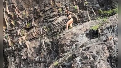 Fatima Sana Shaikh tries cliff jumping for the first time, shares her courage and thrilling leap experience.