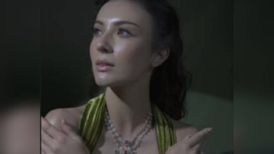 Geetu Mohandas clarifies actress’s identity in ‘Toxic’ trailer after social media rumors swirl.