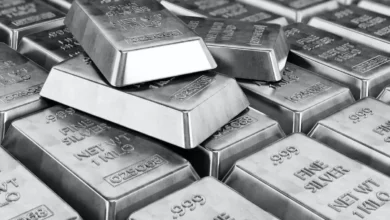 India Leads in Silver Imports for 2025, China Excels in Processing