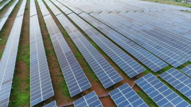 India-Led ISA Stays Focused on Climate Goals with 125 Members After US Withdrawal