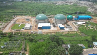India’s Bioenergy Sector Grows: 132 CBG Plants Now Producing 920 Tonnes Daily