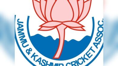 JKCA Reacts to Cricketer Wearing Palestine Flag on Helmet in Jammu: ‘League Not Recognised’