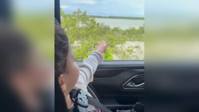 Priyanka Chopra shares sweet moments with daughter Malti, enjoying car rides and snowy adventures.