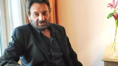 Shekhar Kapur is creating a romance series for an international platform, adapted from a U.S. novel.