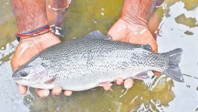 SmartGreen Aquaculture Starts India’s First Inland Trout Farming in Hyderabad