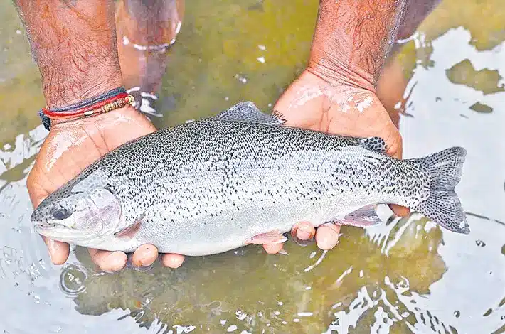 SmartGreen Aquaculture Starts India’s First Inland Trout Farming in Hyderabad