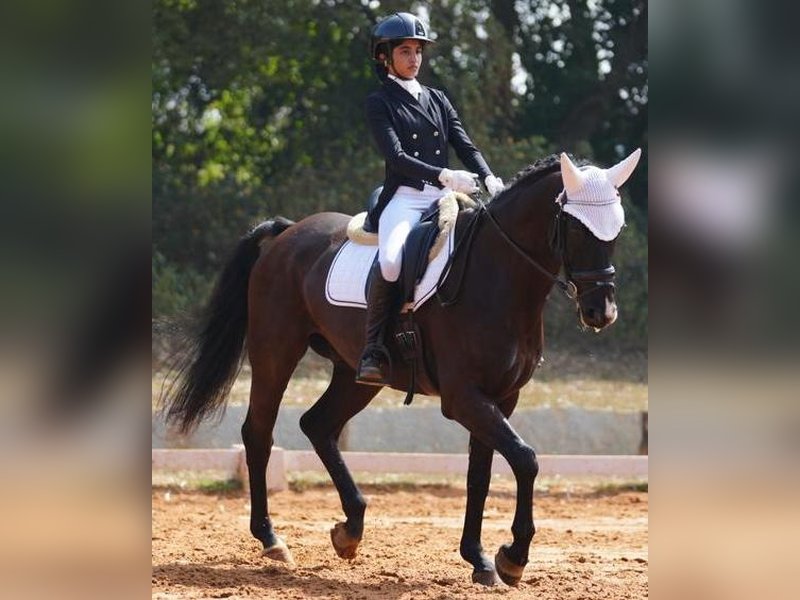 Stasya Pandya of Mumbai clinches silver at Junior National Equestrian Championship Stasya Pandya of Mumbai clinches silver at Junior National Equestrian Championship