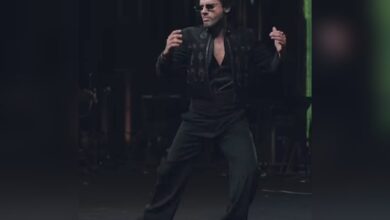 Stebin Bins Dazzles at Sangeet with a Dance for Nupur Sanon; Kriti Sanon Shares Heartfelt Tribute