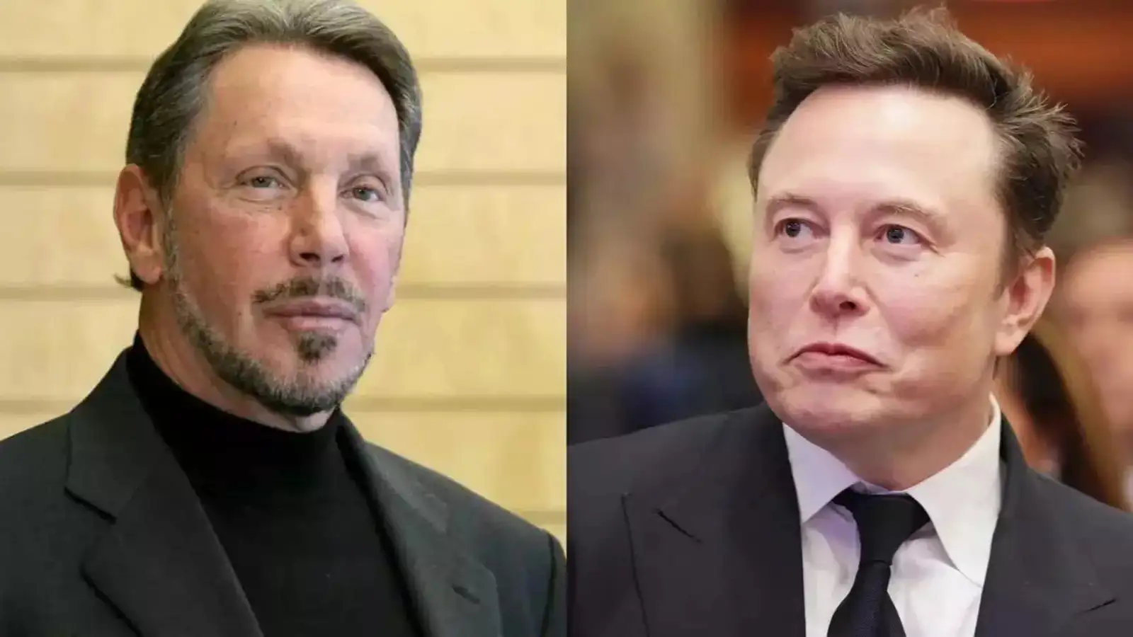 Wealth Growth Insights from Larry Ellison, Elon Musk, Donald Trump, and More
